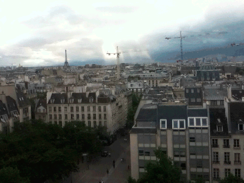 Grues dans l'ombre et la lumière